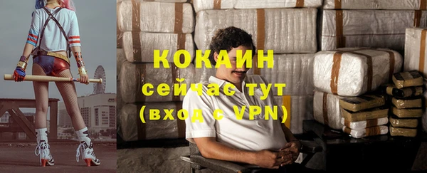 гидра Белокуриха