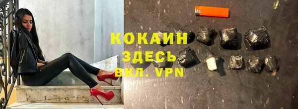 гидра Белокуриха
